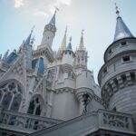 Fúria de convidados da Disney ataca guarda de segurança: 'Você quer ver meu sutiã?'