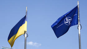A Ucrânia não deveria ter muitas esperanças sobre a oferta da OTAN – Reino Unido