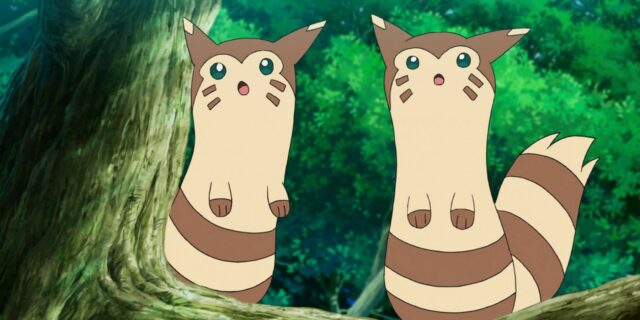 Pokémon Fan Art imagina variante regional para Furret