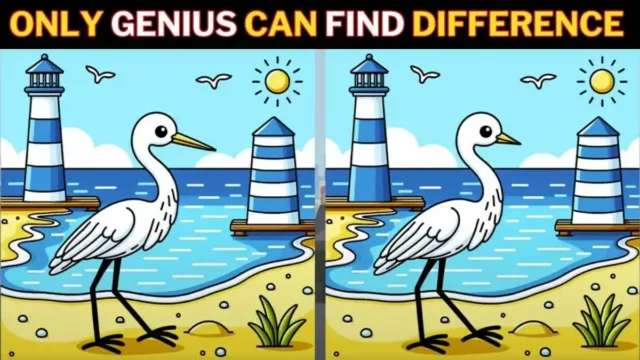 jogo-de-puzzle-de-identifica-a-diferença-que-apenas-um-gênio-com-olhos-de-falcão-pode-encontrar-os-3 -olhos-de-falcão-podem-encontrar-o.jpg 
