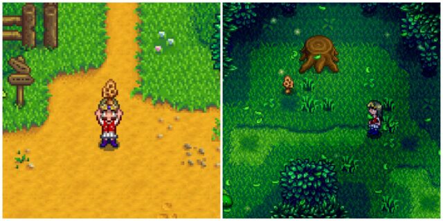 Stardew Valley: Como obter Morel