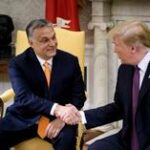 Estado da OTAN ‘aposta’ na vitória de Trump – PM