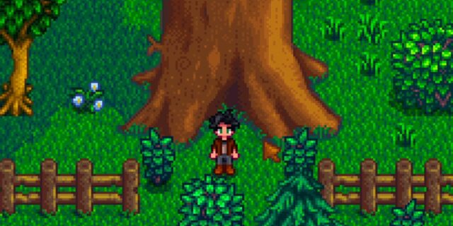 Stardew Valley: Como encontrar a grande árvore