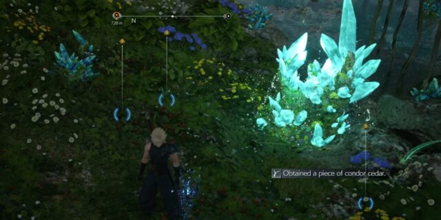Final Fantasy 7 Rebirth: Como obter o cedro Condor