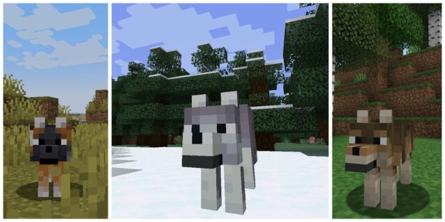 Minecraft: as melhores novas skins de lobo