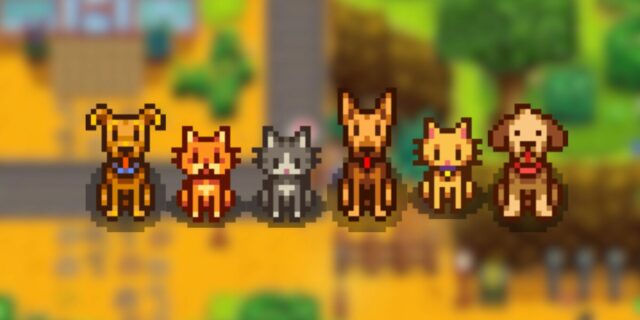 Como conseguir mais de um animal de estimação em Stardew Valley