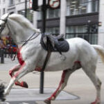 Cavalos cobertos de sangue correm descontroladamente no centro de Londres (VÍDEO)