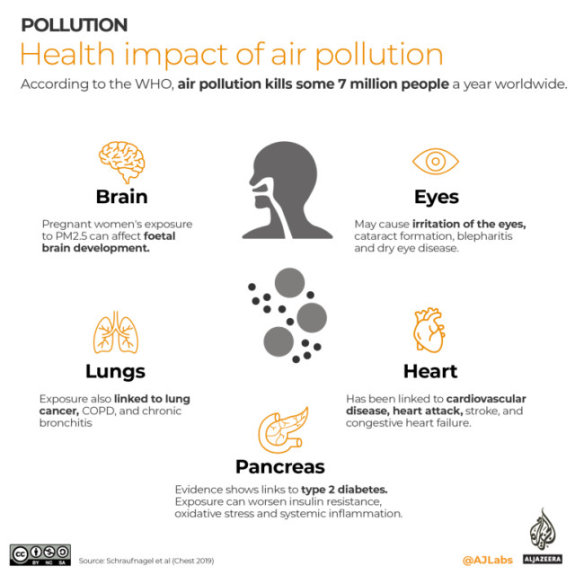 INTERATIVO - sintomas de poluição do ar