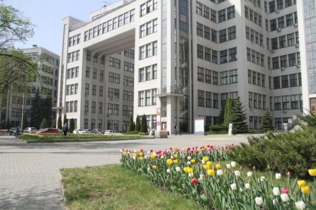 Tulipas em Kharkiv