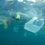 Microplásticos no mar