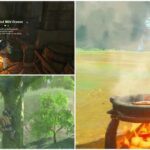 Zelda: Tears Of The Kingdom  The Best Recipes To Increase Links Attack