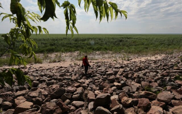 Um homem na margem lamacenta do antigo reservatório de Kakhovka, perto da aldeia de Malokaterinivka.  O que era um lago agora está cheio de grama verde e vegetação.