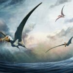 Fósseis de réptil voador ‘Sea Phantom’ encontrados na Austrália