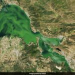 Clear Lake da Califórnia fica verde com algas, visíveis do espaço, afirma NASA