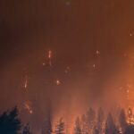 Fogos de artifício de iate provocam incêndio florestal na ilha grega, 13 presos