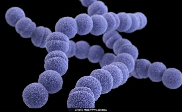 'Bactérias carnívoras' raras que podem matar em 2 dias, espalhando-se no Japão