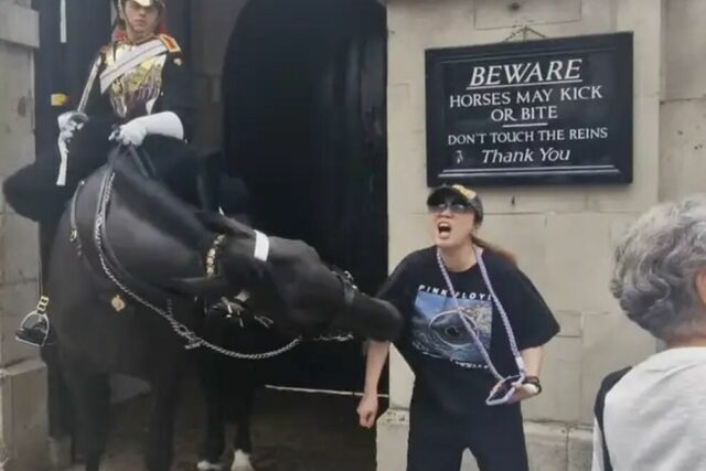 Um turista recebe uma mordida de um cavalo da Guarda Real em Londres. Quais são as regras para abordá-lo?