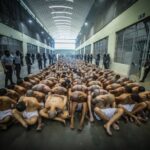 Primeiros presos transferidos para a nova prisão de gângsteres de El Salvador
