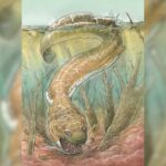 Grande criatura semelhante a uma salamandra com presas vagou pela Namíbia há 280 milhões de anos