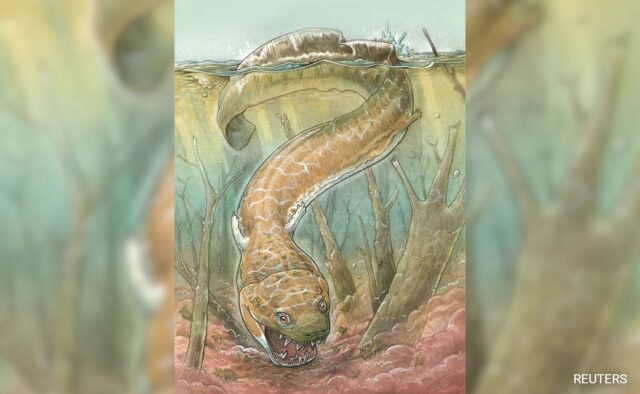 Grande criatura semelhante a uma salamandra com presas vagou pela Namíbia há 280 milhões de anos