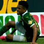 Palmeiras admite 'preocupação' com nova lesão no tornozelo de Estevão Willian