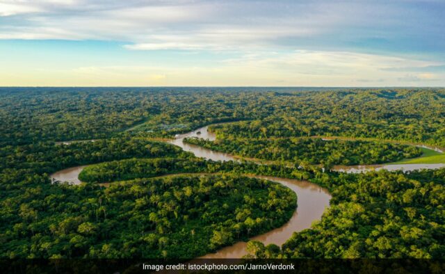 Grande vitória para as tribos amazônicas em relação aos créditos de carbono na Colômbia