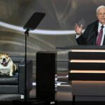 'Babydog', o Bulldog Inglês, rouba os holofotes na Convenção Nacional Republicana