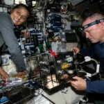 Sunita Williams, segura na estação espacial, abordará a Terra em 10 de julho