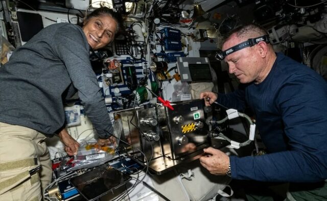 Sunita Williams, segura na estação espacial, abordará a Terra em 10 de julho
