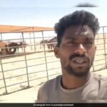 Indiano enganado com promessa de retorno de emprego da Arábia Saudita, afirma embaixada