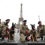 Unidades K9 do Elite Dog Squad da Índia aumentarão a segurança nas Olimpíadas de Paris