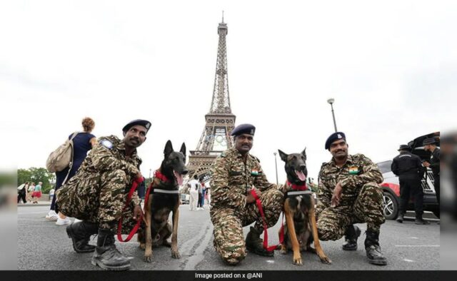 Unidades K9 do Elite Dog Squad da Índia aumentarão a segurança nas Olimpíadas de Paris