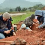Fóssil de dinossauro 'bem preservado' de 200 milhões de anos encontrado após enchente no Brasil