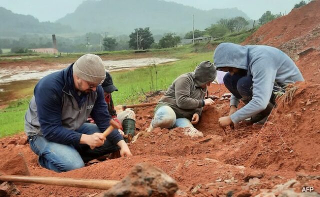 Fóssil de dinossauro 'bem preservado' de 200 milhões de anos encontrado após enchente no Brasil