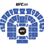 Os altos preços para ver Topuria x Holloway do UFC em Abu Dhabi