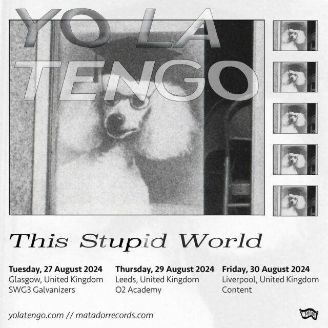 Yo La Tengo: esta turnê mundial estúpida