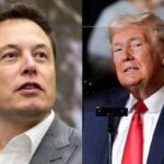 A resposta de Elon Musk depois que Trump disse que o tornaria conselheiro