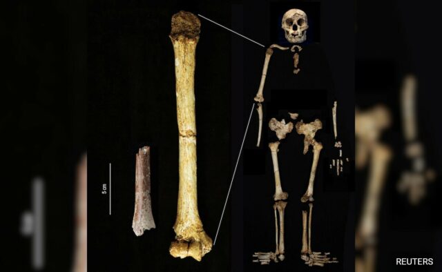 Descoberta de minúsculo osso de braço lança luz sobre misteriosos humanos “Hobbit”