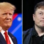 Donald Trump Elon Musk