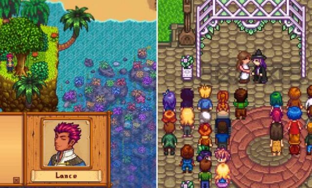 Best Stardew Valley Bachelors