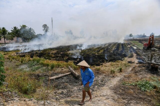 Esta foto tirada em 28 de fevereiro de 2023 mostra um fazendeiro passando por palha queimada em um campo de arroz em Can Tho. O arroz – o principal alimento da Ásia – é responsável por cerca de 10% das emissões globais de metano, um gás que ao longo de duas décadas retém cerca de 80 vezes mais calor do que o dióxido de carbono. (Foto de Nhac NGUYEN / AFP) / PARA IR COM 