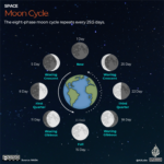 Ciclo lunar