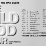 Nick Cave e as Bad Seeds: The Wild God Tour