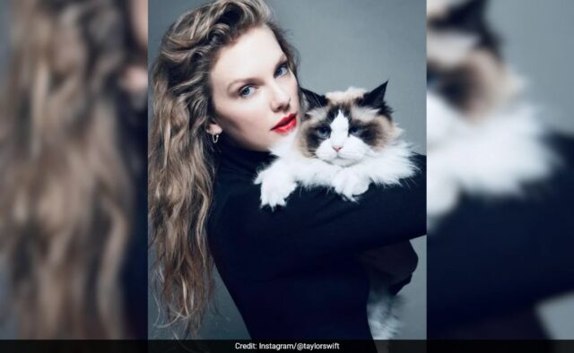 Apoiando Kamala Harris, Taylor Swift se autodenomina 'senhora dos gatos sem filhos'