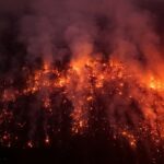 Fotos: Um continente em chamas - América do Sul supera recorde de incêndios florestais