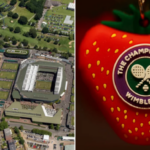 Vista aérea esquerda das quadras de Wimbledon, direita - logotipo de Wimbledon contra um motivo de morango