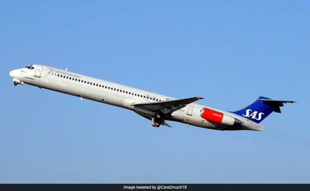 Voo da Scandinavian Airlines faz pouso de emergência após rato vivo ser encontrado em refeição