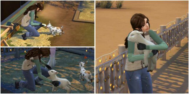 The Sims 4: Melhor Fertilizante