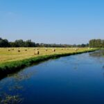 O mistério da batalha de 3.000 anos se desenrola no vale do rio Tollense, na Alemanha