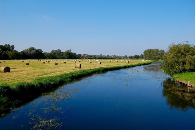 O mistério da batalha de 3.000 anos se desenrola no vale do rio Tollense, na Alemanha